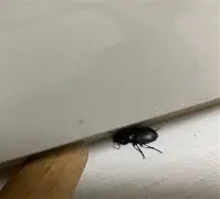 牊rLv汻獌?JQ櫙?N?斗k婪谽蜟YQ2t?C邻?v?>?膩7R6	 -九游官方网站